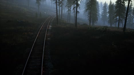 Nationales-Walderholungsgebiet-Und-Der-Nebel-Mit-Eisenbahn
